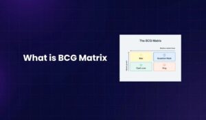 What is BCG Matrix