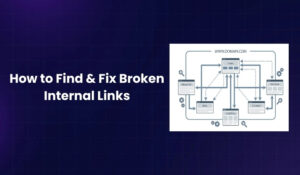 How to Find & Fix Broken Internal Links