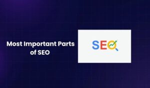 Most Important Parts of SEO