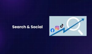 Search & Social