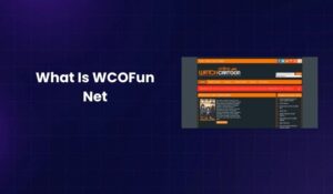 What Is WCOFun Net