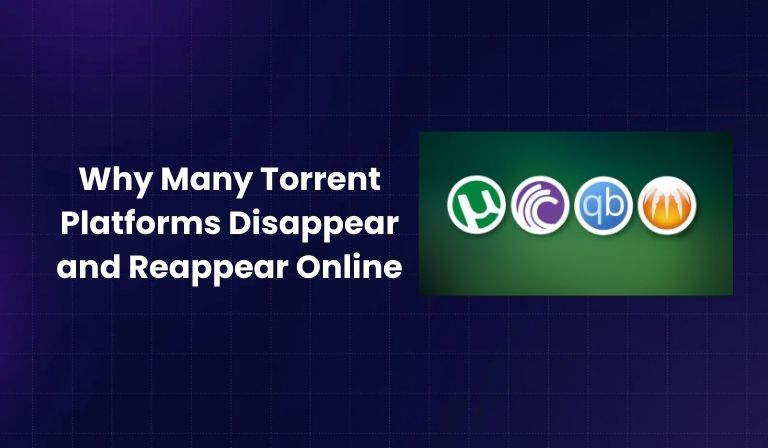 Why Many Torrent Platforms Disappear and Reappear Online