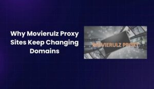 Why Movierulz Proxy Sites Keep Changing Domains